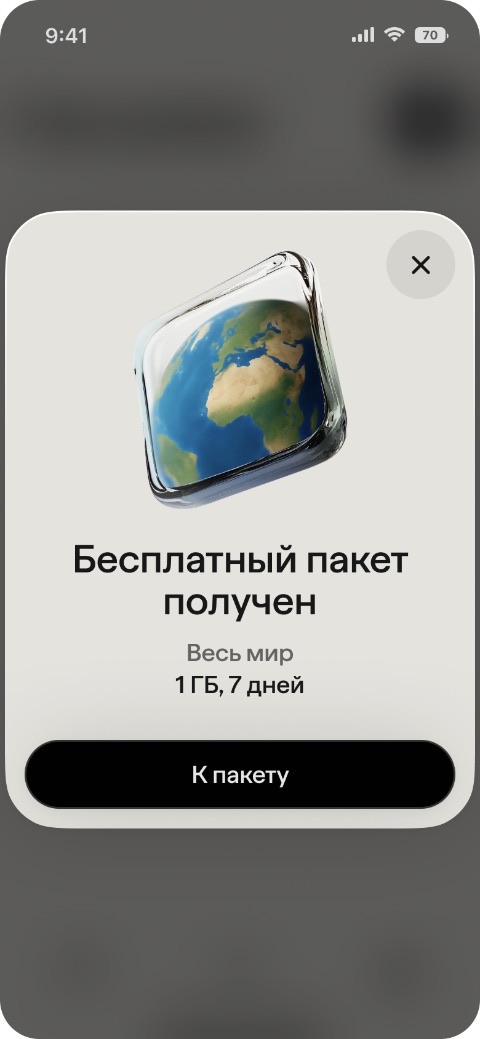 Пакет 1 ГБ получен